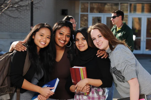 Группа разнообразных студентов Стоковое Фото