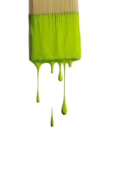 Капание зеленой краски с кисти — стоковое фото