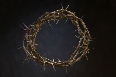 Crown made out of thorns clipart
