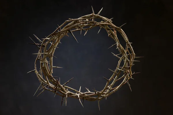 Crown made out of thorns — Stock Photo, Image