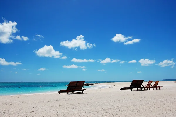 Paradise beach — Stock Photo, Image