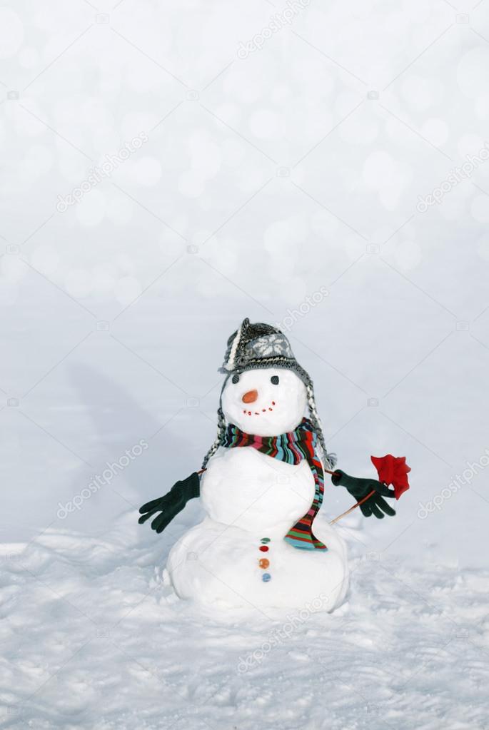 Snowmen with flower