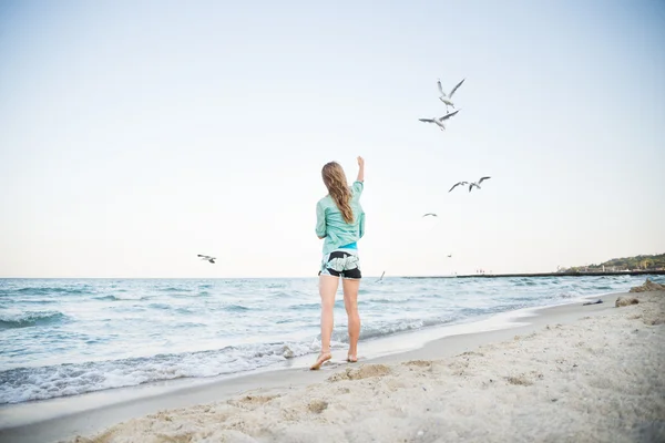 Young Girl are Feeding Seagulls — Stock Photo, Image