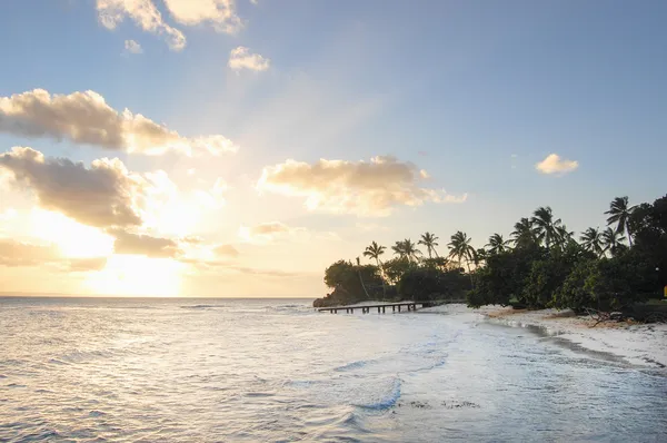 Solnedgång på stranden i Karibiska havet — Stockfoto