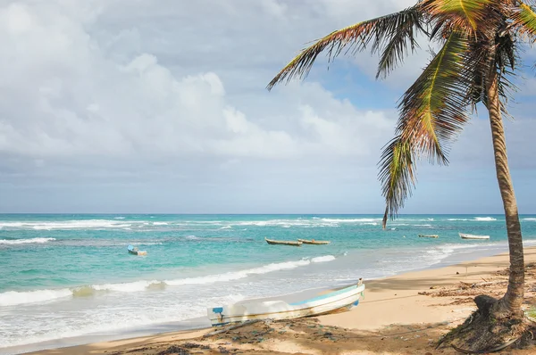 Båt på en tropisk strand — Stockfoto