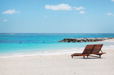 şube ve tropikal plaj