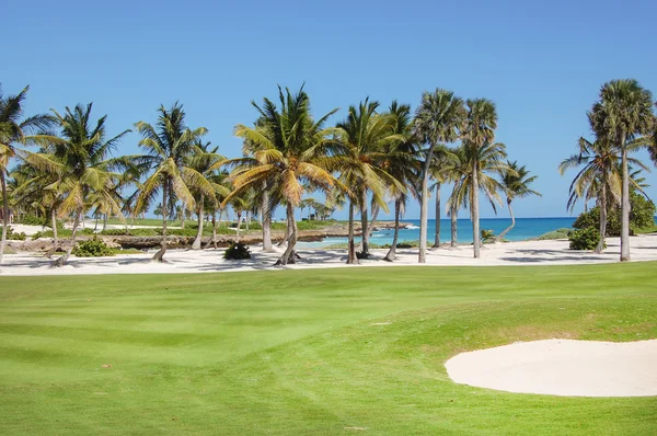 Golf klub s dlaněmi v zahradě — Stock fotografie