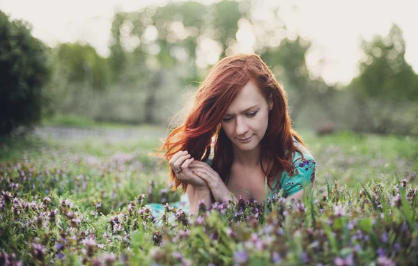 Chica acostada en el campo de flores —  Fotos de Stock