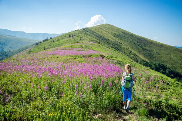 Mujer joven senderismo en las montañas — Foto de Stock