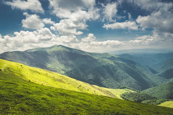 Soluppgången Över Bergen Karpaterna Ukraina Borzhava — Stockfoto