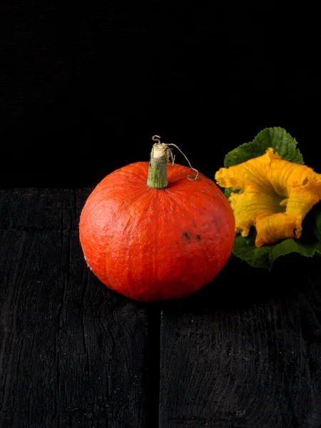 Pumpkin on a wooden table — Stock Photo, Image