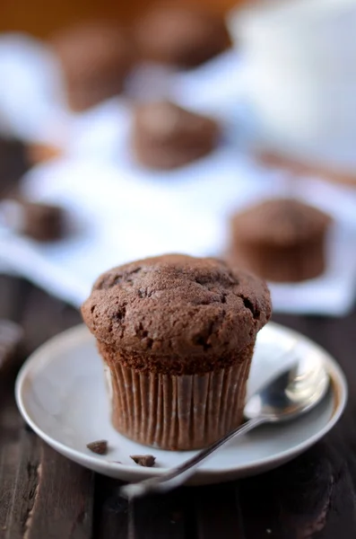 Chocolate cookies — Stock Photo, Image