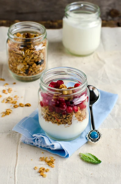 Hemgjord yoghurt med müsli och vinbär. — Stockfoto