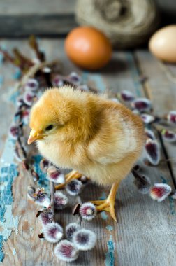 willow twigs yeni doğmuş bir hatunla