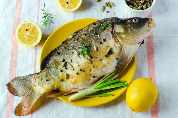 Fresh carp — Stock Photo, Image