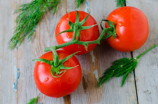 Tomates fraîches — Photo