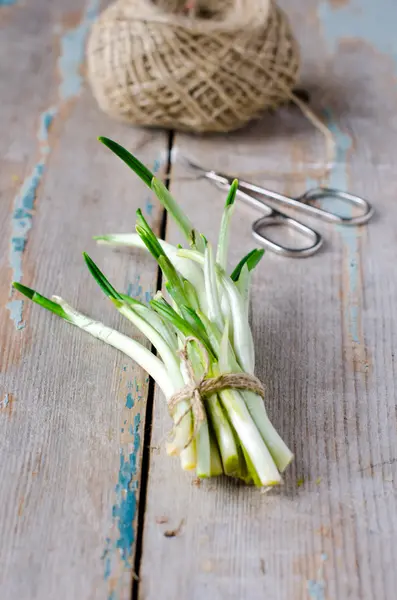 Wilde knoflook — Stockfoto