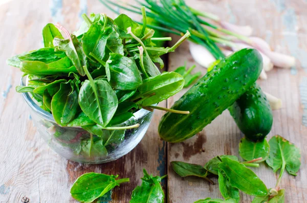 Verse spinazie, komkommers en groene ui — Stockfoto