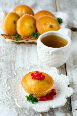 kuş üzümü ile kekler