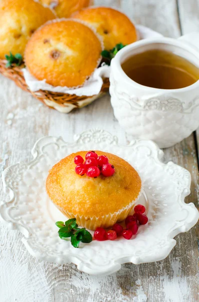 Muffins med vinbär — Stockfoto