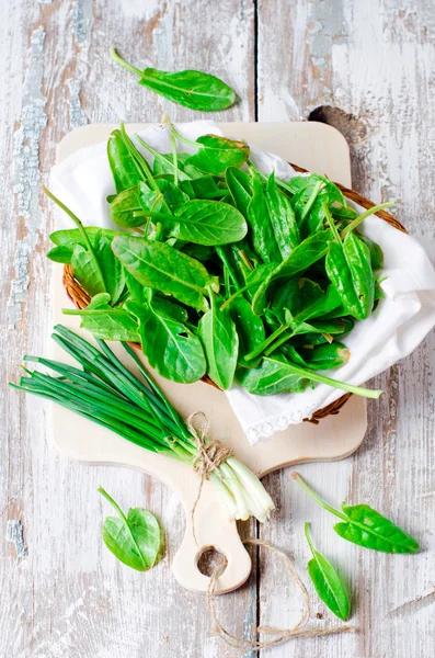 Fresh spinach and green onion — Stock Photo, Image