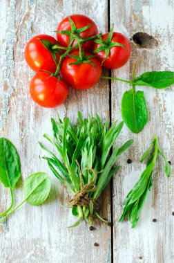 taze tarhun, ıspanak ve baharatlar