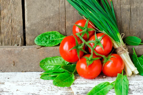 Świeże pomidory, szpinak i zielona cebula — Zdjęcie stockowe