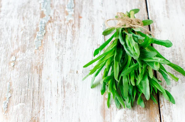 Fresh tarragon — Stock Photo, Image