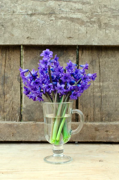 Bouquet di giacinti — Foto Stock