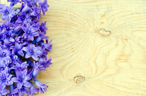 Bouquet di giacinti — Foto Stock