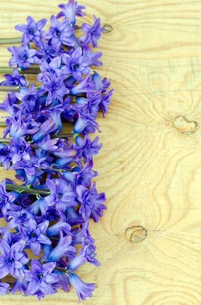 Bouquet of hyacinths — Stock Photo, Image