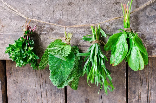 Mint, sage, tarragon and spinach — Stock Photo, Image