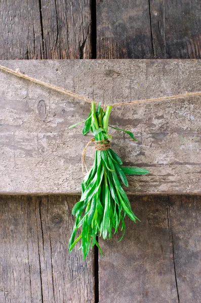 En massa färsk salvia — Stockfoto