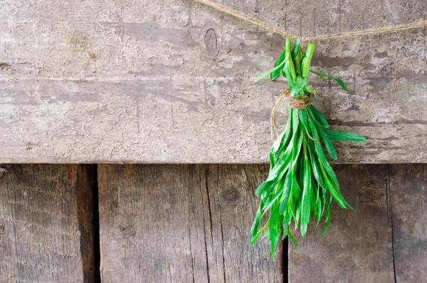 A bunch of fresh sage — Stock Photo, Image