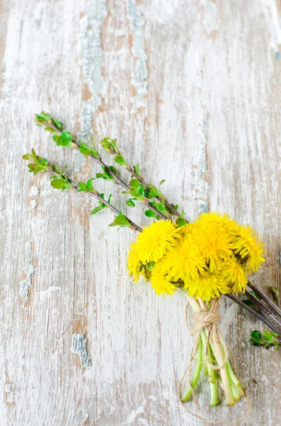 Dandelions — Stock Photo, Image