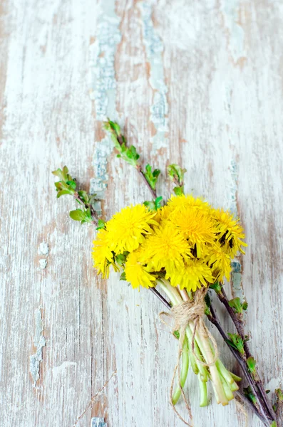 Paardenbloemen — Stockfoto