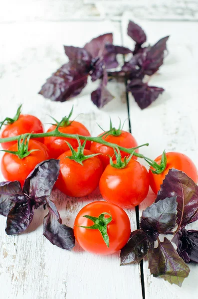 Fresh tomatoes cherry and Basil — Stock Photo, Image