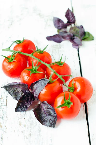 Fresh tomatoes cherry and Basil — Stock Photo, Image