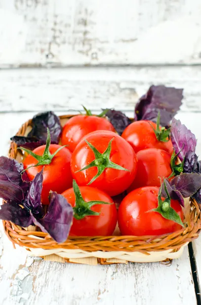 Kiraz domates ve fesleğen bir sepet içinde — Stok fotoğraf