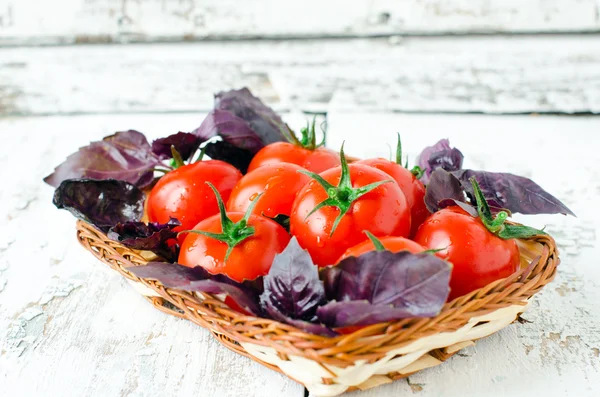 Cherry verse tomaten en basilicum in een mand — Stockfoto