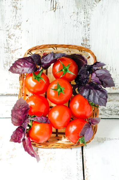 Fresh tomatoes cherry and Basil in a basket — Stock Photo, Image