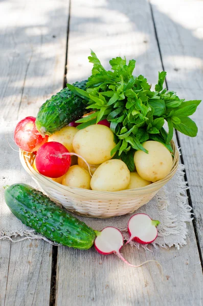 Taze genç patates, salatalık, turp ve otlar — Stok fotoğraf