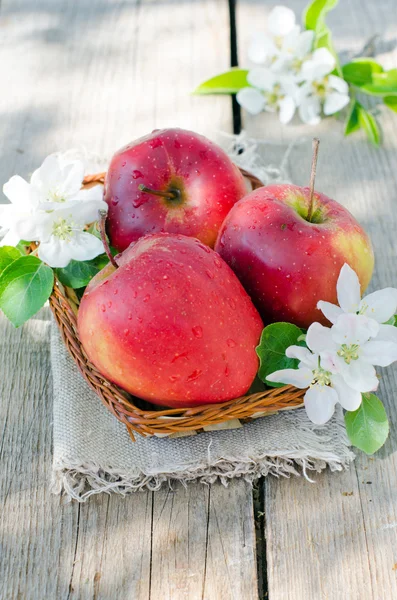 Čerstvá červená jablka do koše — Stock fotografie
