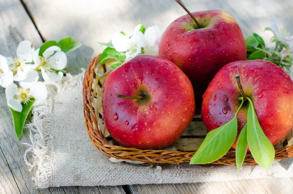 Fresh red apples in a basket — Stock Photo, Image