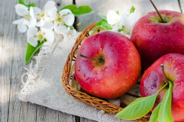 Fresh red apples in a basket — Stock Photo, Image