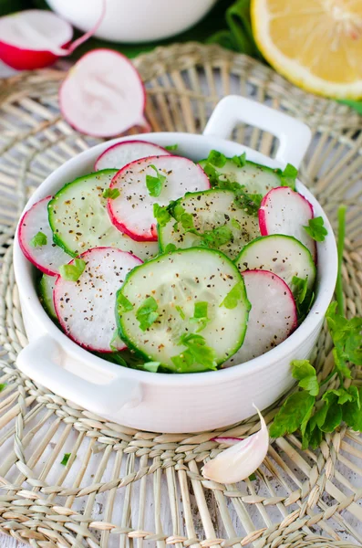 Salade de concombres et radis frais — Photo