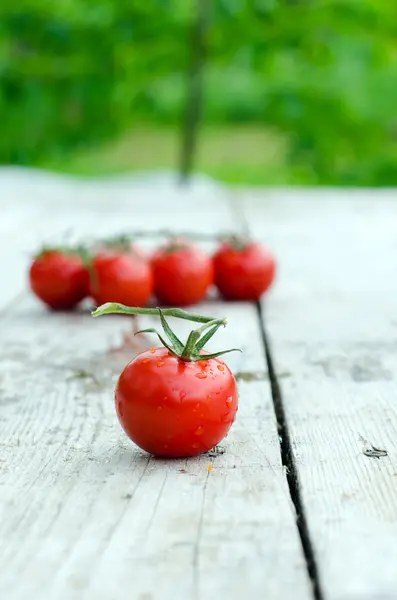 Świeże pomidory wiśniowe na drewnianym stole — Zdjęcie stockowe