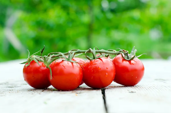 Fresh cherry tomatoes on a wooden table — Stock Photo, Image