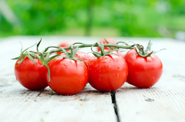 Fresh cherry tomatoes on a wooden table — Stock Photo, Image