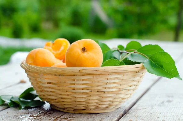 Fresh apricots in a bowl . selective focus — Stock Photo, Image